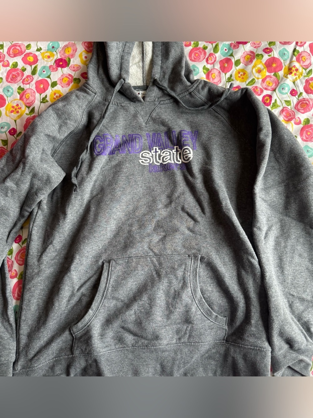 Large grand valley state university hoodie
